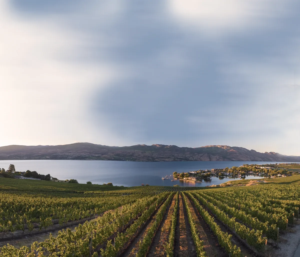 Quails’ Gate Winery, West Kelowna
